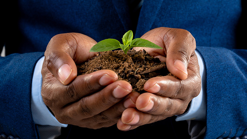 Growth Without the Financial Pain – Helping to Grow Your Business on a Limited Budget